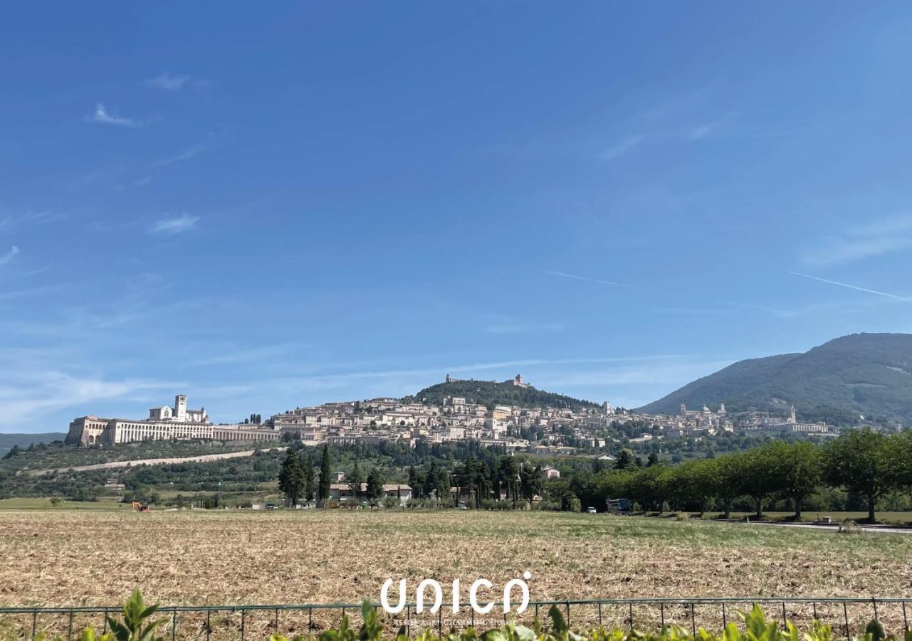 مبيت وإفطار Unica Assisi Agri-Charming House المظهر الخارجي الصورة